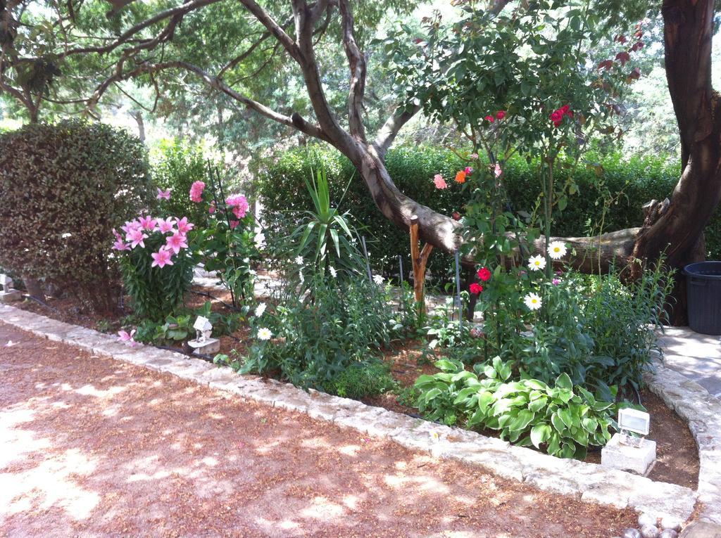 Villa Elofred Saint-Florent  Room photo
