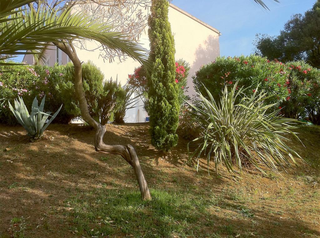 Villa Elofred Saint-Florent  Exterior photo