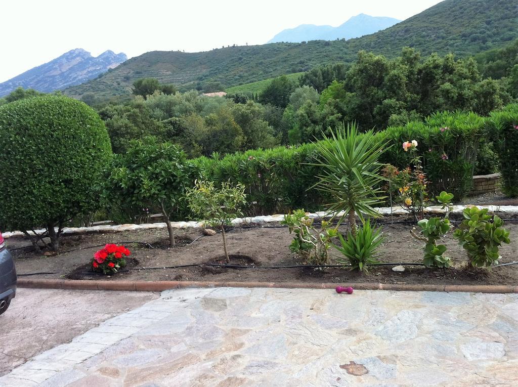 Villa Elofred Saint-Florent  Exterior photo